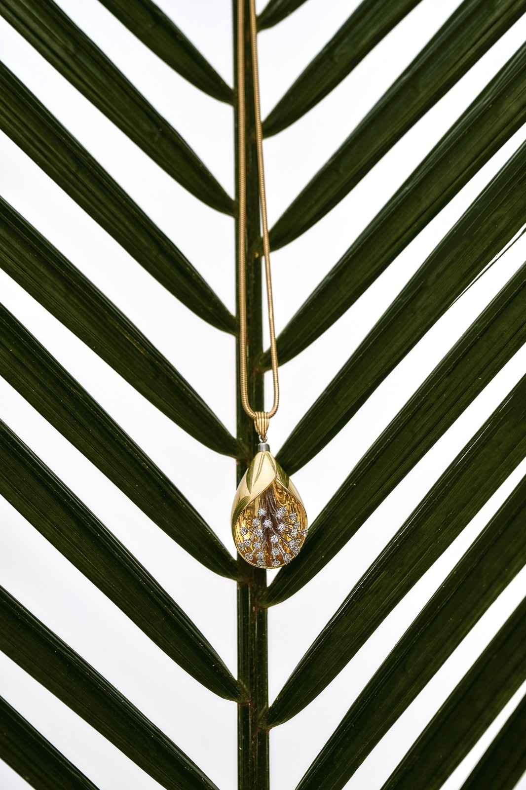 WhatsApp Image 2026-03-25 at 16.22.59 (23)_15_11zon